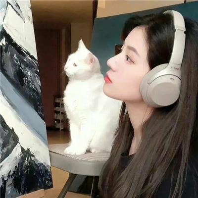 妙婿向钱冲