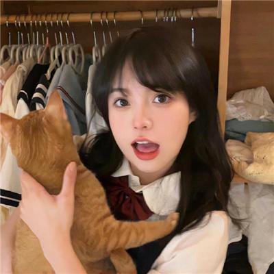 百合与直觉